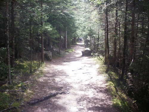A lovely forest ridge path heads downhill towards Praz De Fort