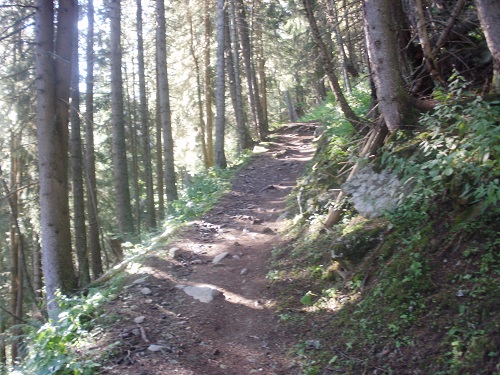 Part of the never ending zigzags on the climb up to the Col de Balme