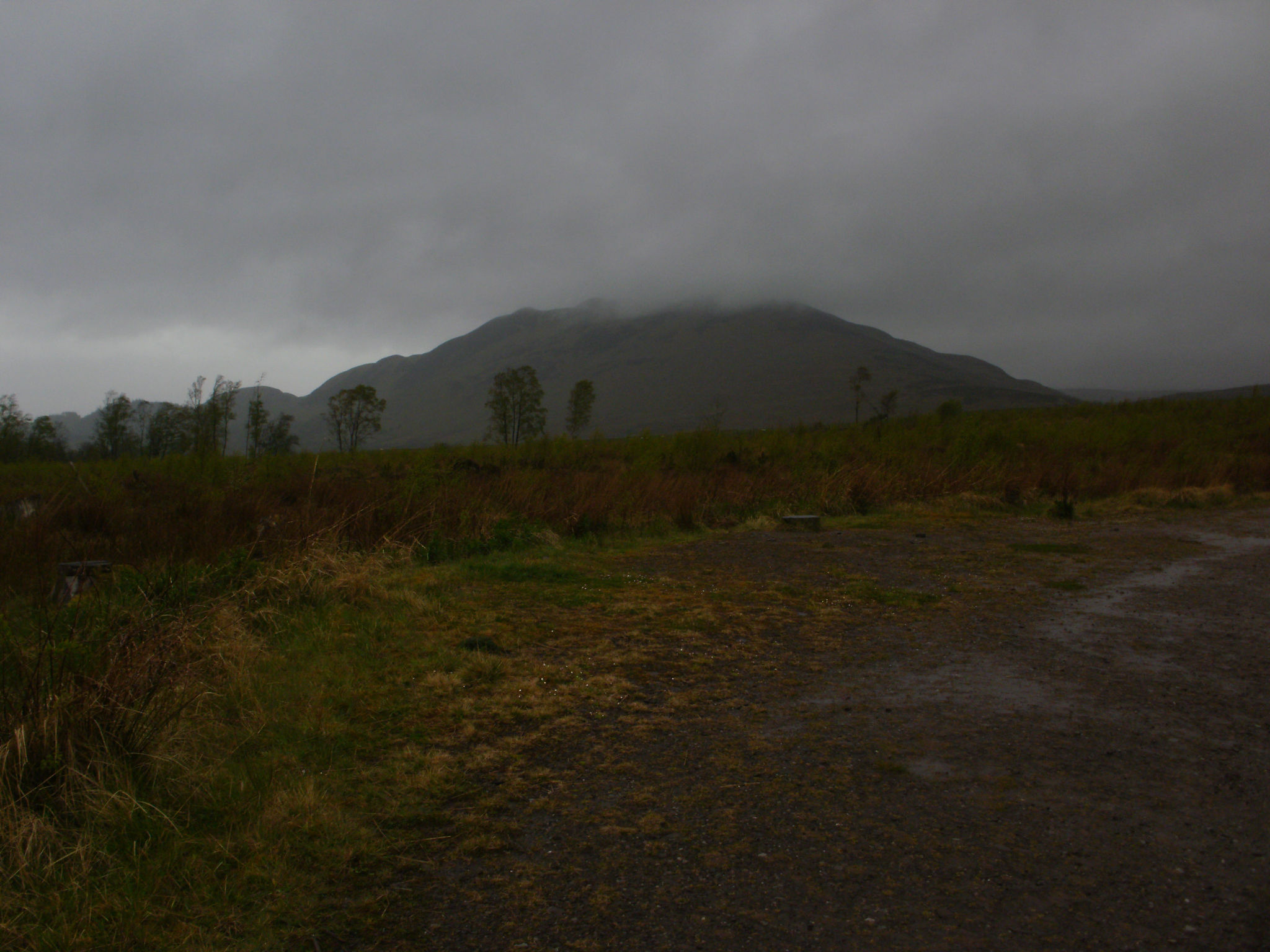 Conic Hill in the murky distance