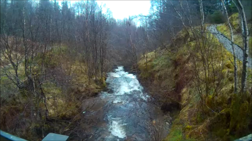 A small but fast moving stream in the woods