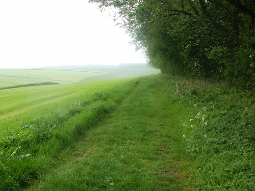 A nice level grassy path would be a nice start to the day