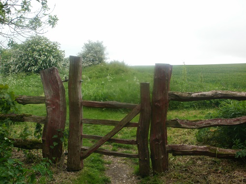 The sculptured fence at the edge of Deep Dale plantation