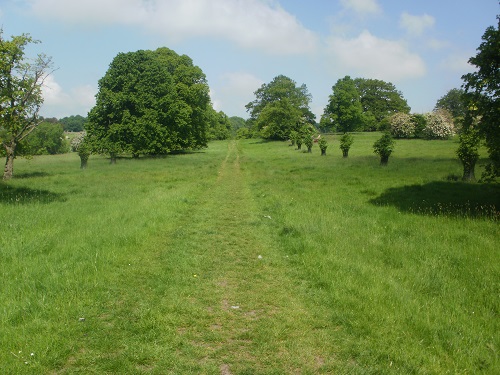 Grassy paths would be a welcome feature on this walk