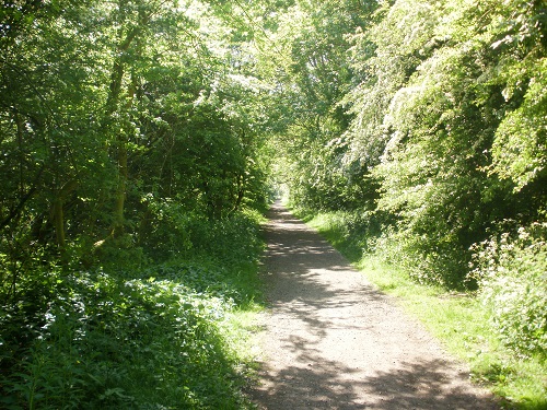 Part of the disused railway track into Market Weighton