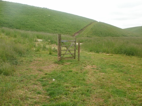 A random gate on the trail today, no fence in sight
